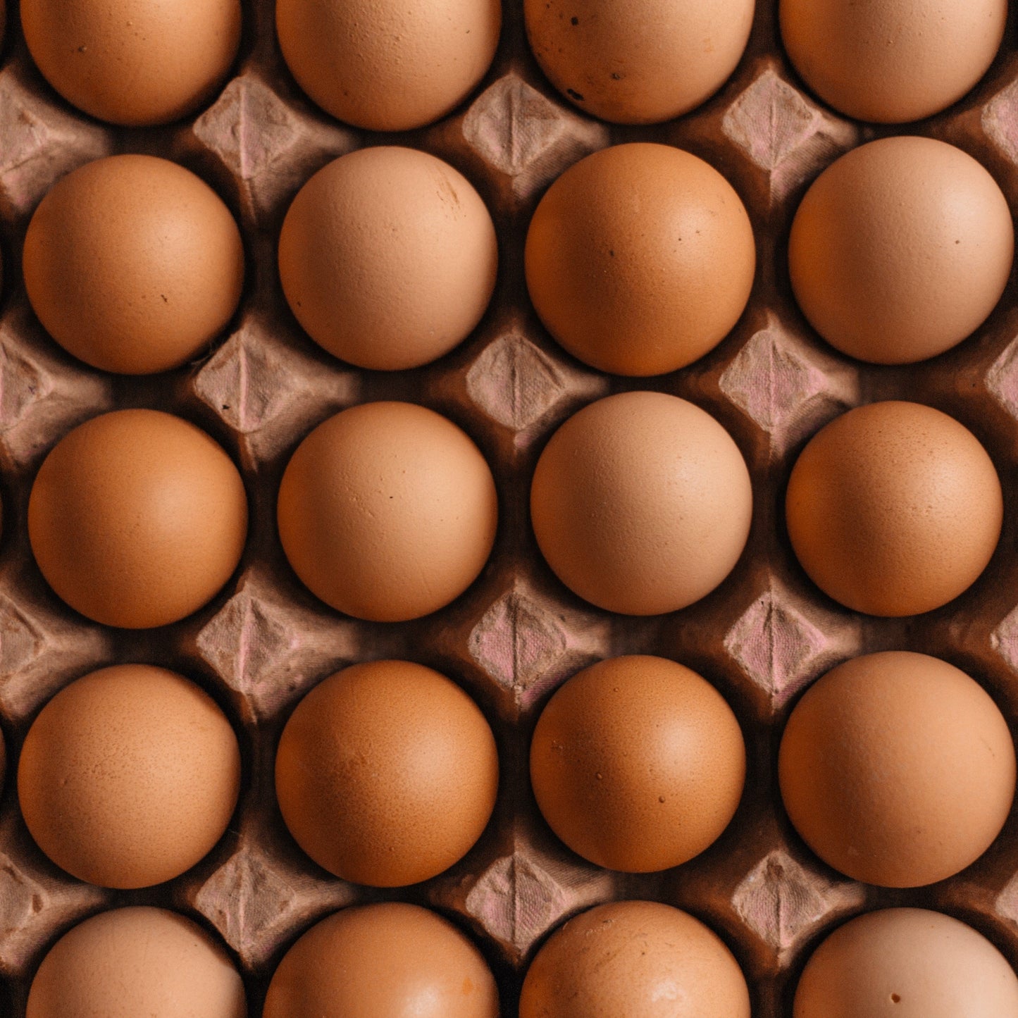 Chicken Eggs - Whitehurst