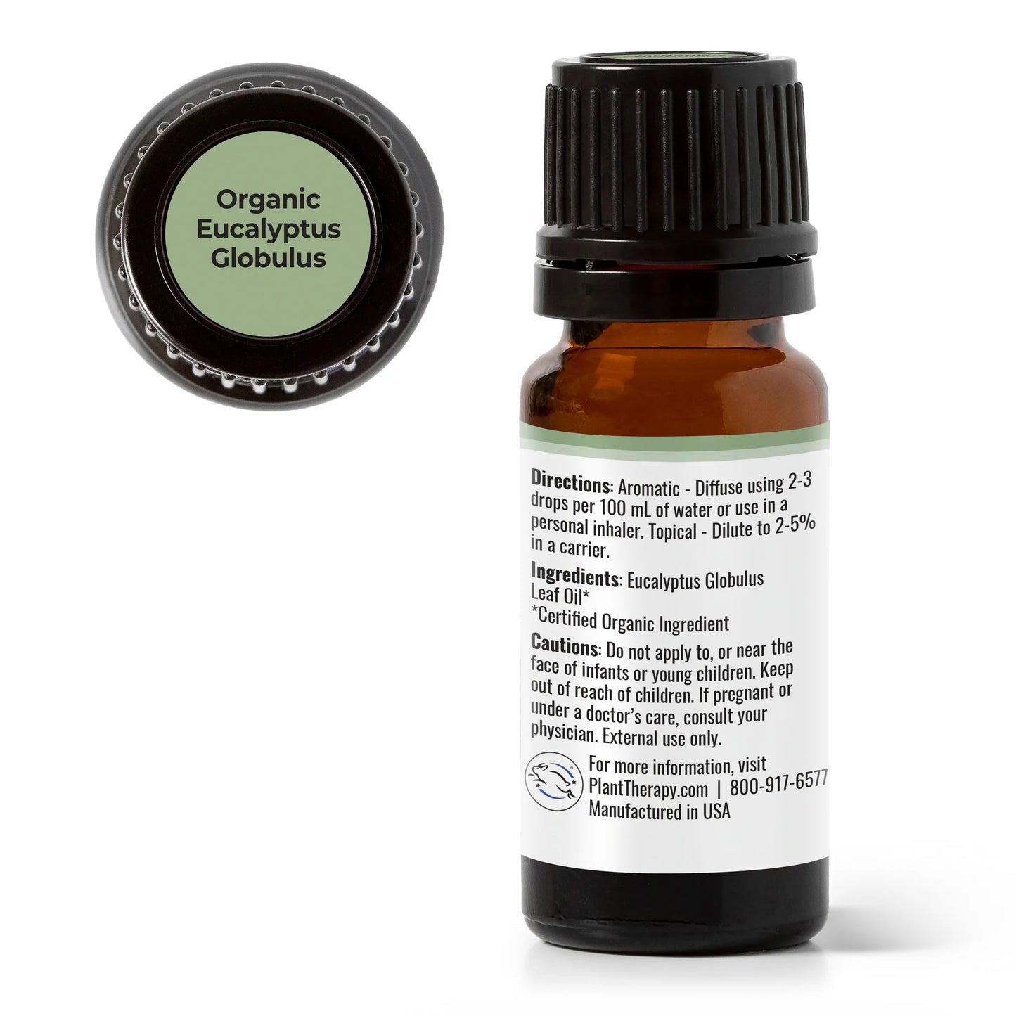 Eucalyptus Globulus Essential Oil