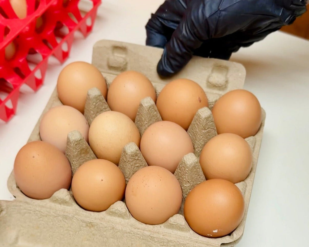 NEW! Chicken Eggs - Vincent Farms