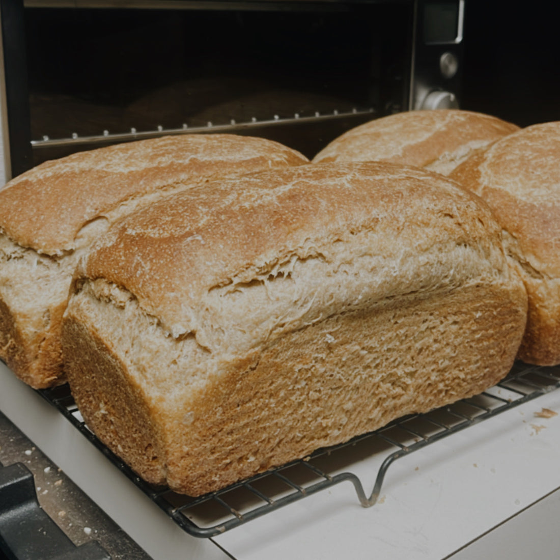 bulk sourdough sandwich loaves