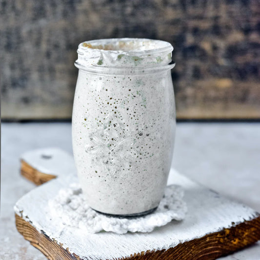 How To: Feed & Keep a Sourdough Starter