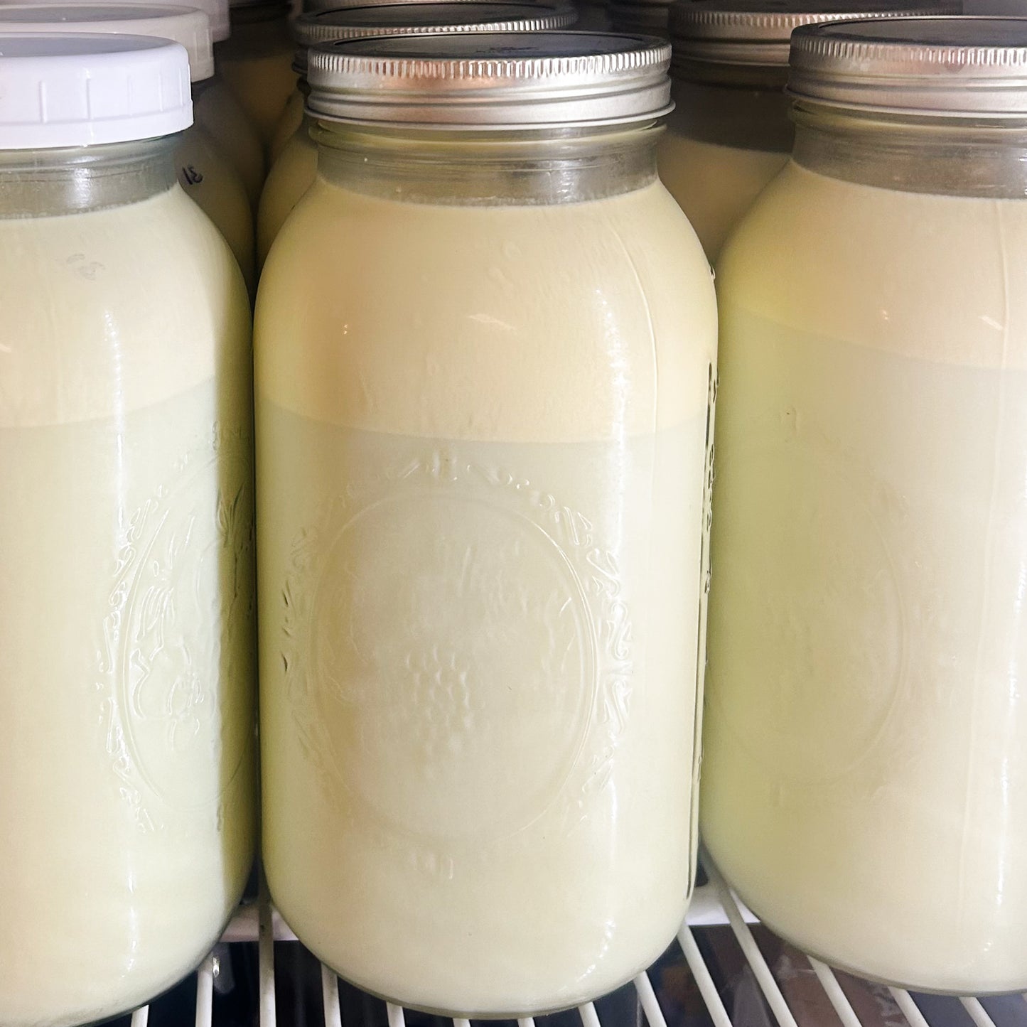 Raw Cow Milk - Glass Jar