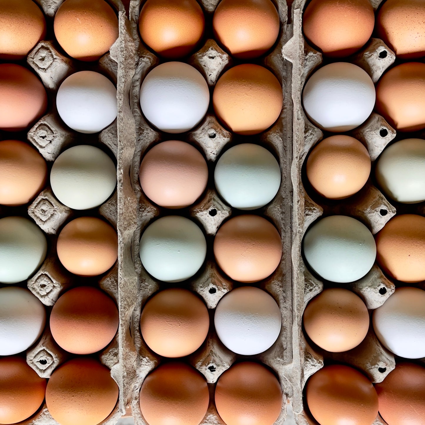 Nourished Market Chicken Eggs