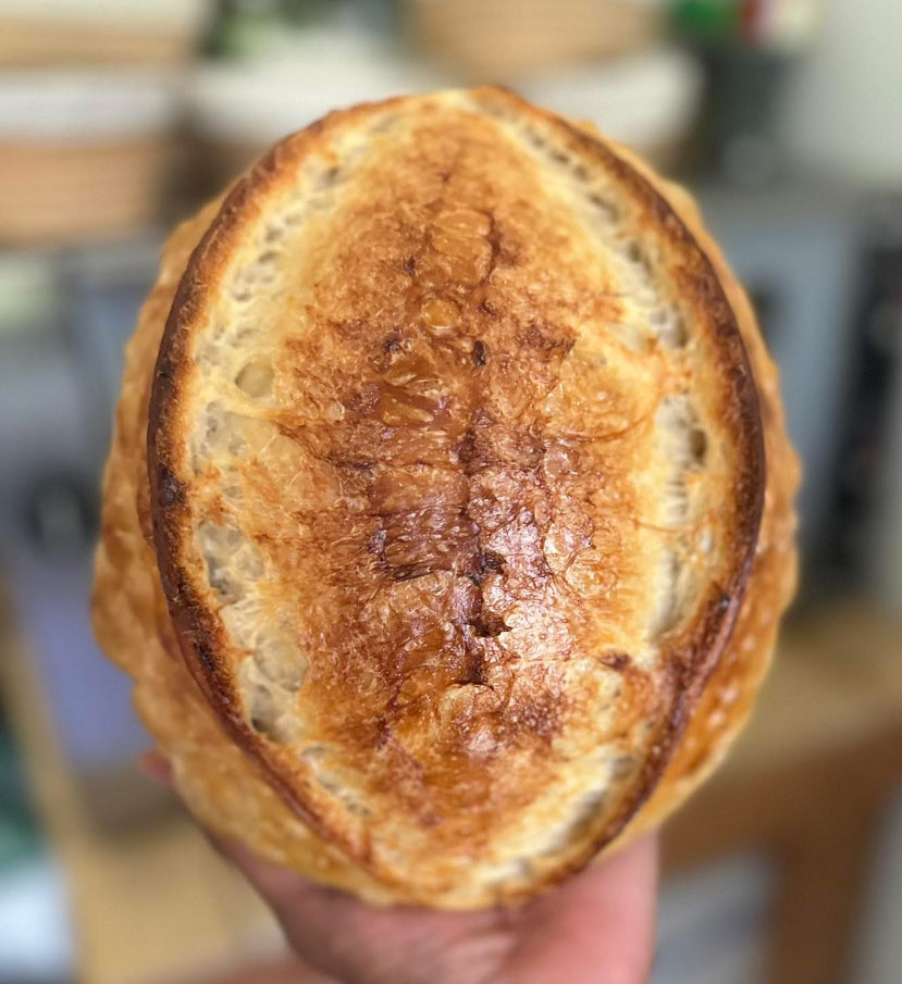 Organic Sourdough Artisan Loaf