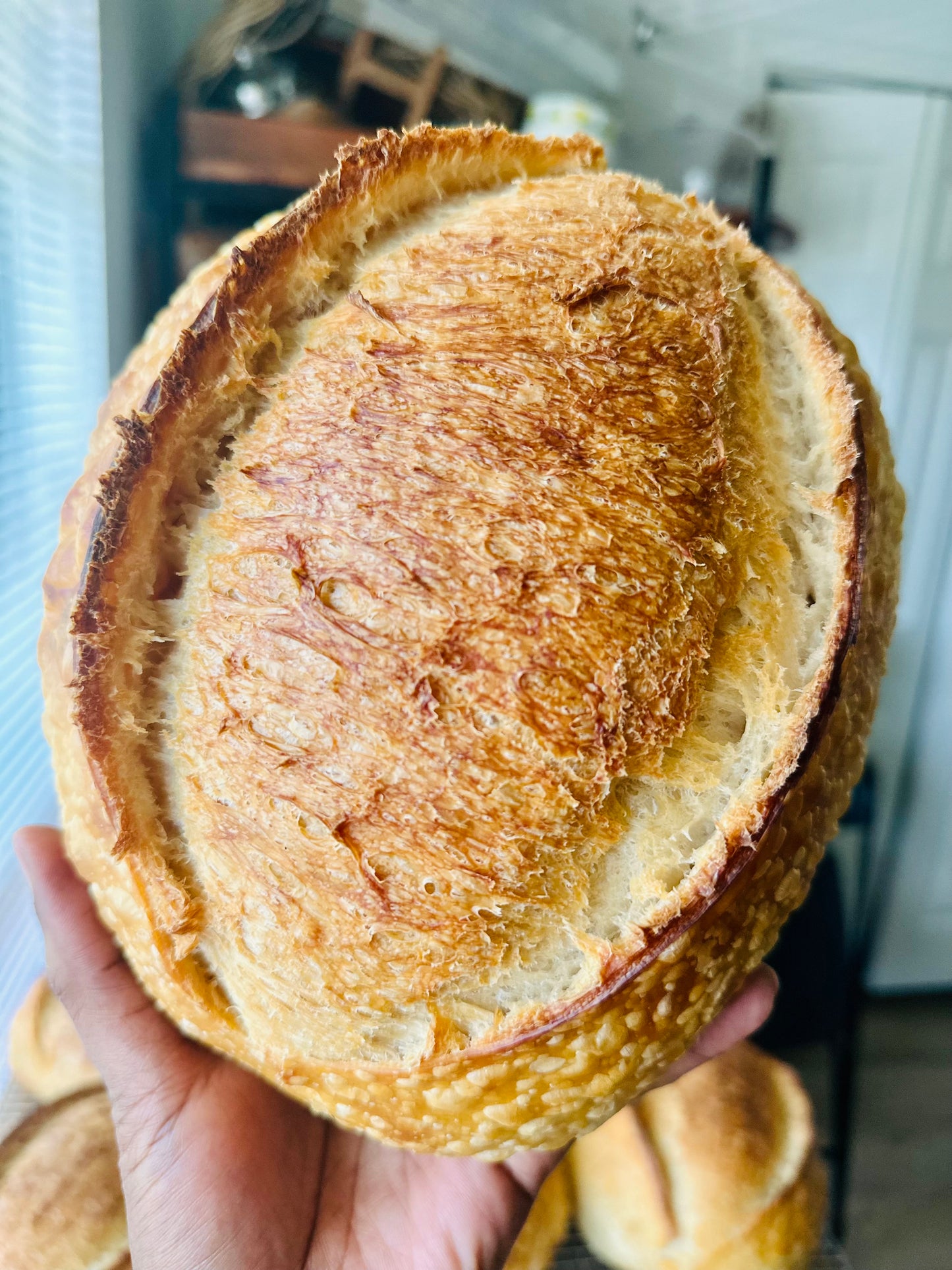 Organic Sourdough Artisan Loaf