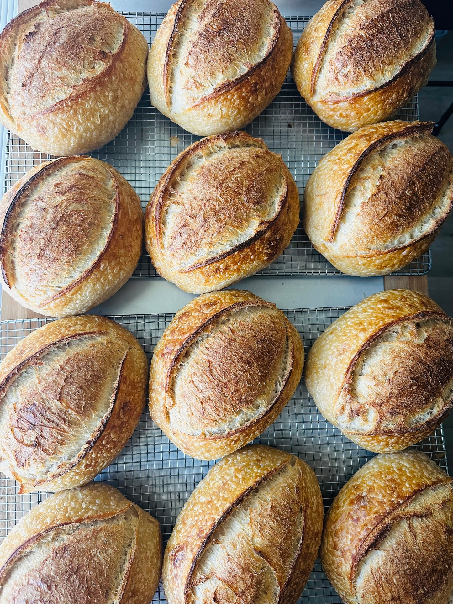 Organic Sourdough Artisan Loaf