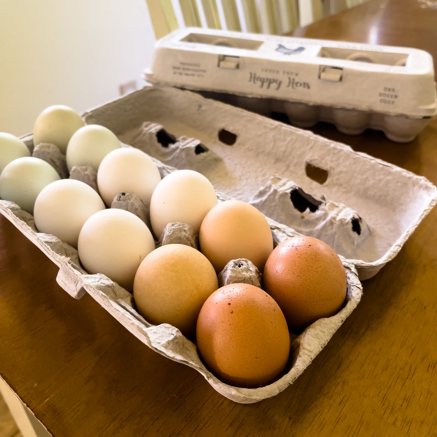 Free Range Eggs – Nourished Market